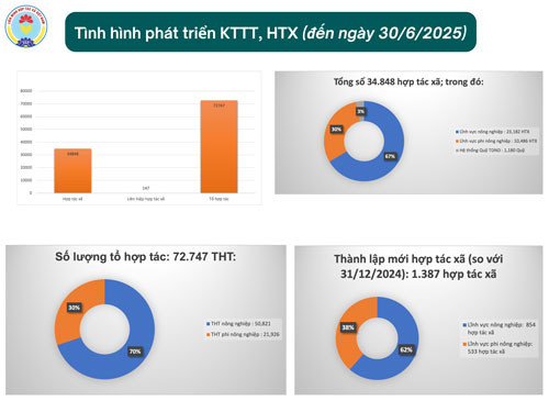 Tình hình phát triển KTTT HTX