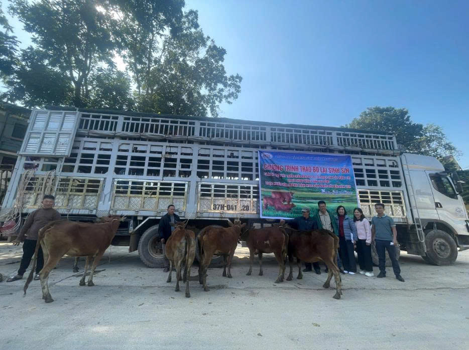 z7283856620652_6fb052ac02de137710fd12c41f5d646e