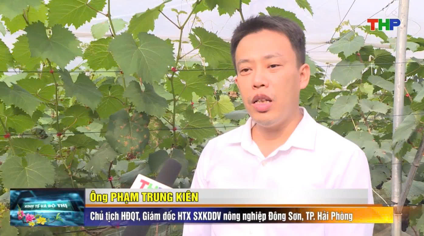 Kinh tế tập thể thành phố - Đổi mới để bứt phá trong kỷ nguyên vươn mình của dân tộc