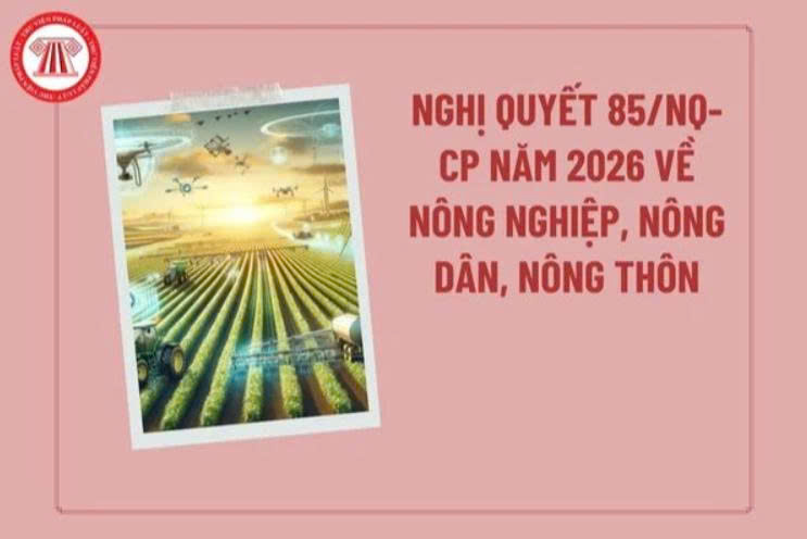 Tiếp tục triển khai Nghị quyết 19-NQ/TW ngày 16/6/2022 về nông nghiệp, nông dân, nông thôn đến năm 2030, tầm nhìn 2045.